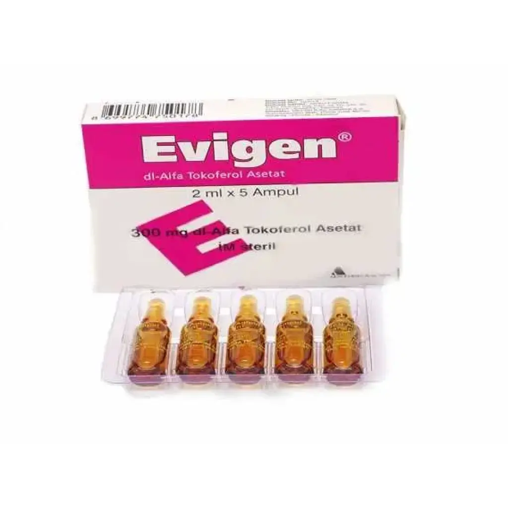 Evigen
